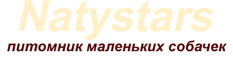 Логотип 'NATYSTARS'